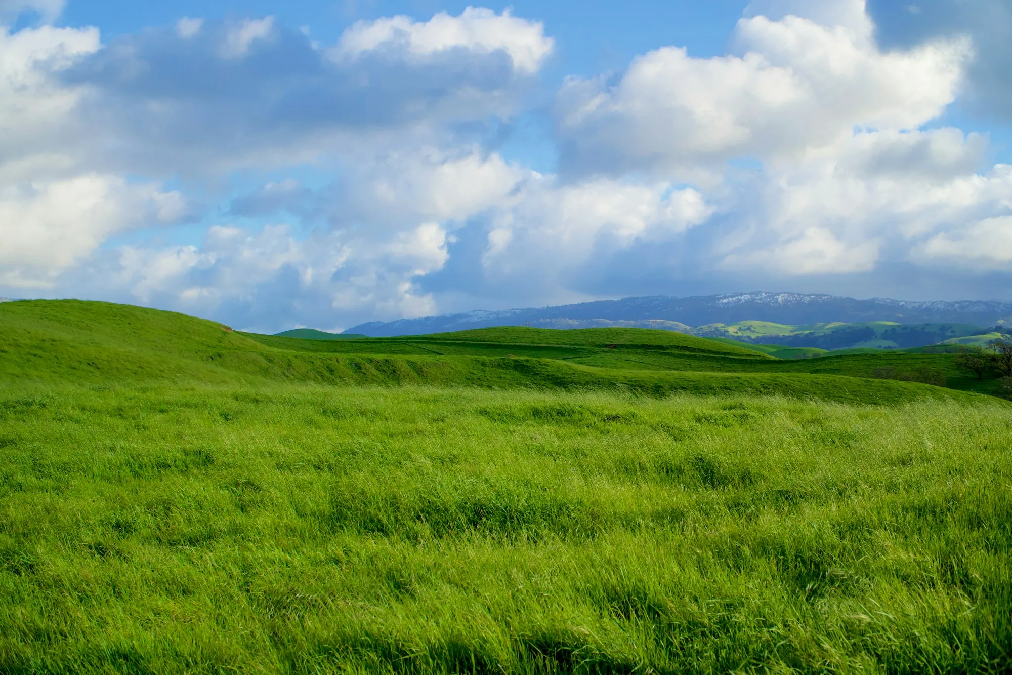 Green grassy hill under a blue sky with clouds